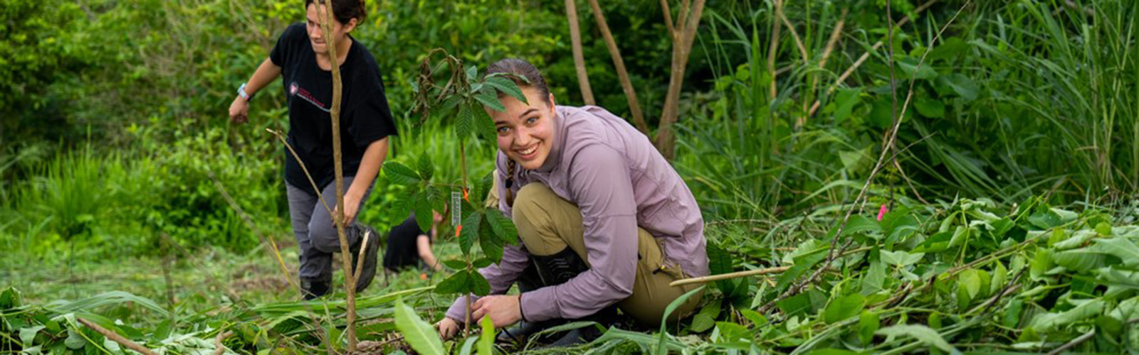 Students are in the forest and crouched on the ground. They are planting trees. One student is smiling at the camera.